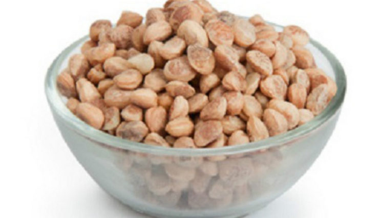 benefits of eating chironji,health benefits,benefits of chironji,Health,Health tips ,चिरोंजी,चिरोंजी के फायदे,हेल्थ,हेल्थ टिप्स