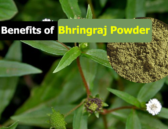 see the magic of bhringraj,healthy benefits of using bhringraj powder,beneits of  bhringraj for our health,bhringraj powder and its benefits,ayurvedic products for good health