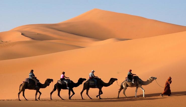 interesting facts,amazing facts,camel,facts related camel,camel speciality ,रोचक तथ्य, मजेदार तथ्य, ऊंट, ऊंट से जुड़े तथ्य, ऊंट की विशेषता, रेगिस्तान का जहाज ऊंट 