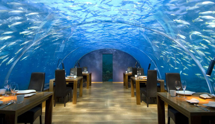travel,holidays,under water hotels,utter inn hotel sweden,lovers deep olivers travels,ithaa undersea restaurant maldives,per aquum niyama maldives,jules undersea lodge,florida
