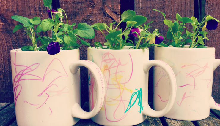 household,decorate house,decorate house with plants,hanging plant on watering,plant succulents,personalized plant,mug plant