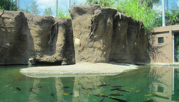 places it rains whole year,rains whole year ,मासिनराम, मेघालय, भारत, चेरापूंजी, मेघालय, भारत , टटेंडो, कोलंबिया, दक्षिण अमेरिका, क्रोप्प नदी, न्यूजीलैंड, सैन एंटोनियो, अफ्रीका