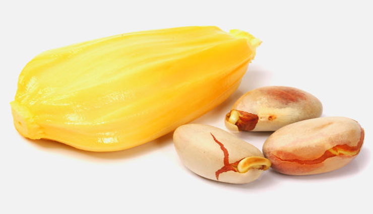 benefits of jack fruit seeds,health benefits,Health,healthy living,Health tips ,कटहल के बीज,कटहल के बीज के फायदे,हेल्थ,हेल्थ टिप्स