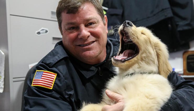 weird news,weird incident,franklin police dog,dog ben,ben stolen toys ,अनोखी खबर, अनोखा मामला, फ़्रेंकलिन पुलिस का कुत्ता, टॉय सेंटर में चोरी