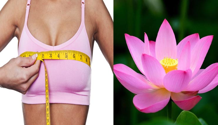 Health tips,health tips in hindi,health by lotus flower,home remedies,remedies of lotus flower ,हेल्थ टिप्स, हेल्थ टिप्स हिंदी  में, घरेलू उपचार, कमल के फूल से उपचार, कमल के फूल से बिमारियों का निपटारा 