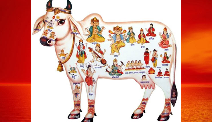 कौनसी मनोकामना की पूर्ती के लिए किस भगवान की पूजा की जाये, जाने