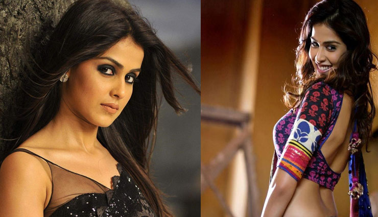 south indian actors who made an impact in bollywood,south indian actors,bollywood actors,genelia dsouza,ileana dcruze,taapsee pannu,kamal hassan,r madhvan,kajal,asin,dhanush