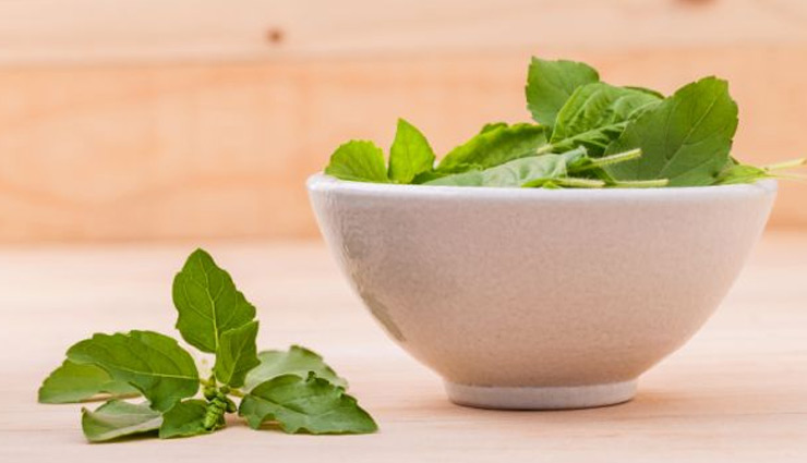 healthy living,health benefits,medicinal benefits of eating tulsi leaves,tulsi leaves,holi tulsi leaves