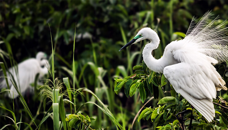 best places to visit in rameswaram,top tourist spots in rameswaram,rameswaram travel guide,must-visit places in rameswaram,rameswaram sightseeing,spiritual sites in rameswaram,adventure activities in rameswaram,historical sites in rameswaram,family trip to rameswaram,romantic getaway in rameswaram