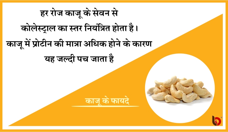 Health tips,15 benefits of cashew,cashew benefits