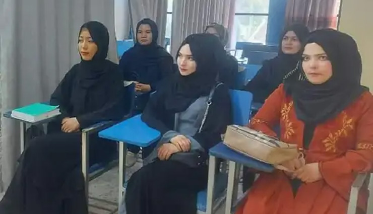 afghanistan,taliban,university,studies