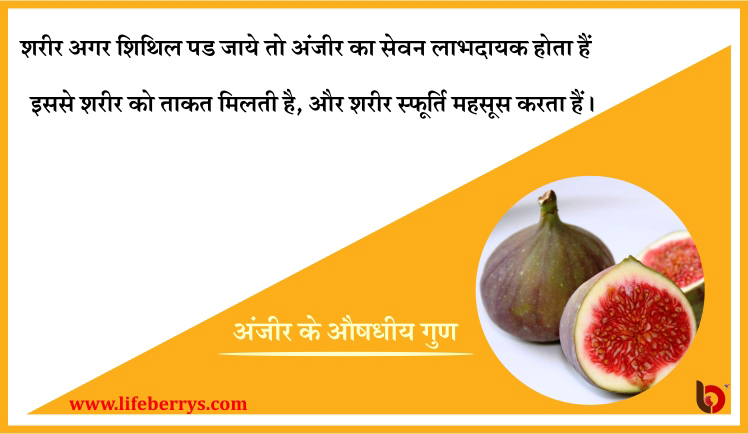 10 medicinal magical benefits of anjeer or figs