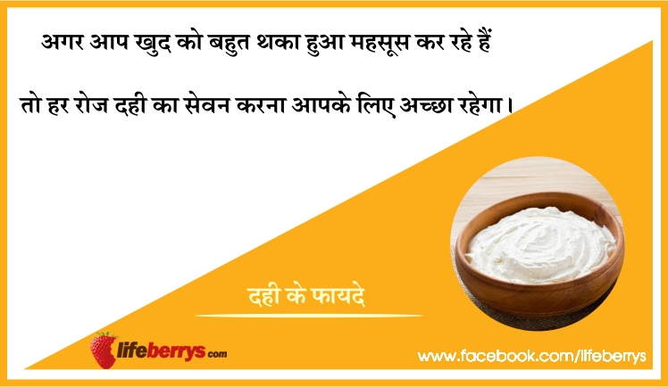 7 healthy benefits of curd,curd,protein,iron,healthy benefits of curd,curd maintain good health,how curd can be ac cure for diseases,maintaining health with curd,dahi,benefits of dahi