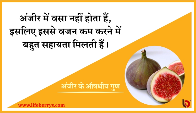 10 medicinal magical benefits of anjeer or figs