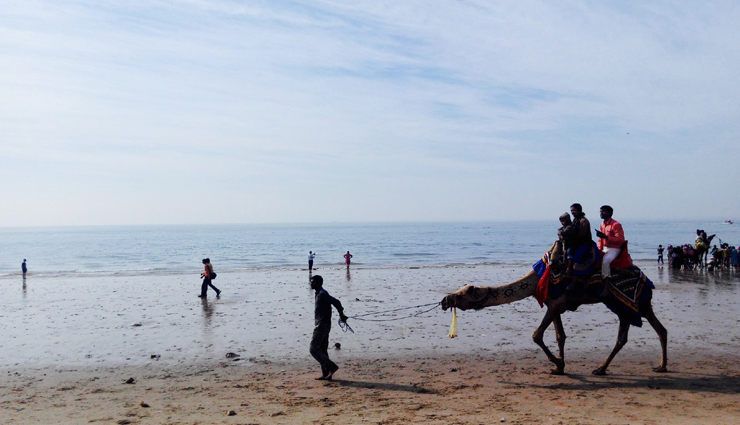 beaches,beahes in gujarat,gujarat beaches,wonderful beaches,beaches in india,india tourism,tourist places in india,india travel,travel guide,holidays