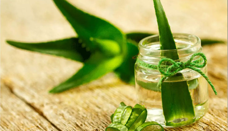 एलोवेरा जेल : सुंदरता बढ़ाने के साथ सेहत का भी रखे ख्याल, जानें किन-किन समस्याओं में है उपयोगी