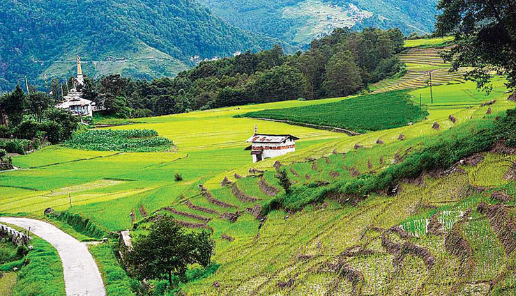 solo traveling,india,holidays,girl,girl holiday,tourism news in hindi