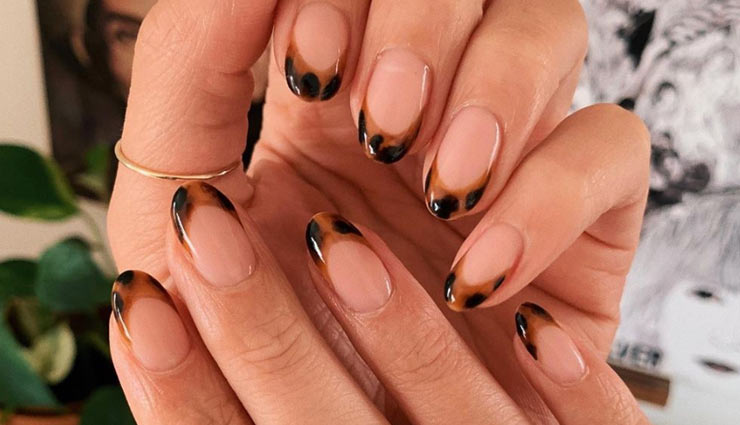 Beauty try these home tips for nails growth 171244 नाखून की सेहत से भी नहीं  करें समझौता, ये हैं इन्हें बढ़ाने और मजबूत बनाने के घरेलू तरीके -   हिंदी