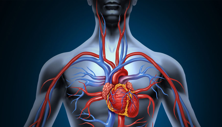 एक अकेला केला सब फलों पर भारी! तनाव करता गायब, एक से बढ़कर एक हैं फायदे
banana,fruit,Apple,tension,eyes,digestion,blood circulation,cholesterol,health news in hindi