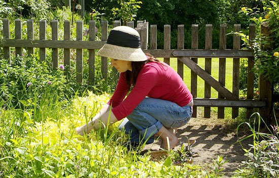 Health,healthy living,healthy garden,fresh fruits,fresh vegetables,healthy heart,stronger body