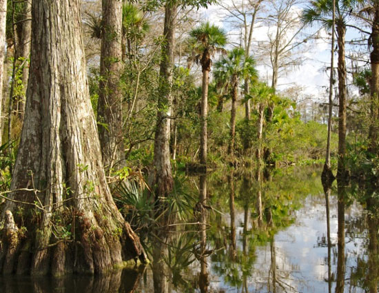 destinations,destinations disappear soon,Kilimanjaro,The Great Barrier Reef,Vieques and Culebra,European Alps,Everglades National Park