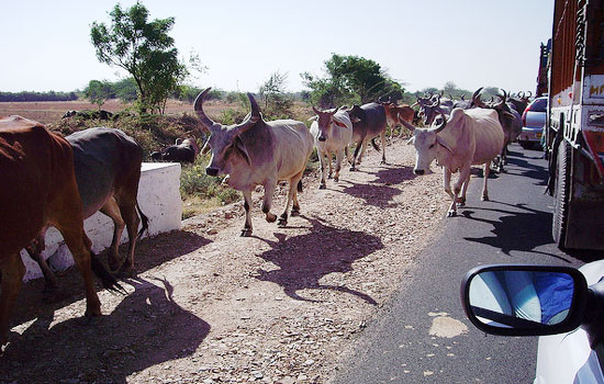 holidays,rajasthan,places of rajasthan,Bundi,Baroli temples,Bhainsrorgarh,Kumbhalgarh,Ranakpur Temple,Road trip