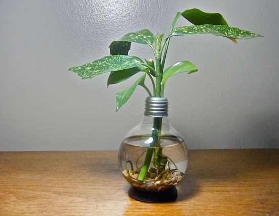 household,household tips,waste bulbs,fuse bulbs,decorate bulbs