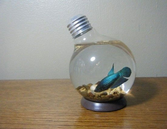 household,household tips,waste bulbs,fuse bulbs,decorate bulbs