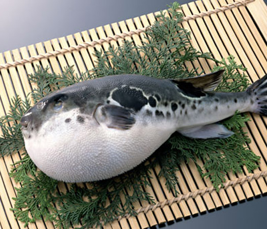 holidays,creepiest food,Fugu,Fried Spider,Balut,Haggis,CasuMarzu