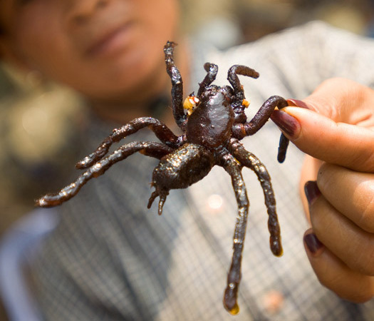 holidays,creepiest food,Fugu,Fried Spider,Balut,Haggis,CasuMarzu