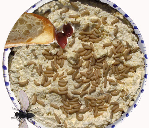 holidays,creepiest food,Fugu,Fried Spider,Balut,Haggis,CasuMarzu