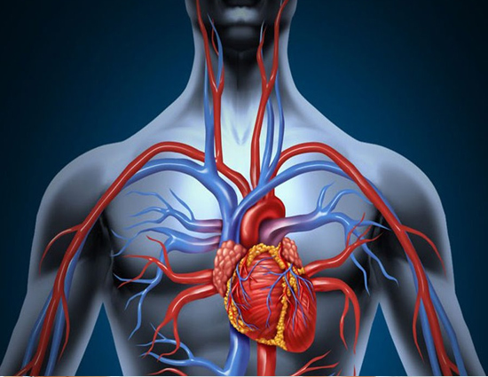 Health,Health tips,indication of heart,breathing problem,cholesterol,pain in heart