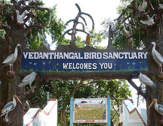 holidays,bird sanctuaries of india,bharatpur bird sanctuary rajasthan,sultanpur bird sanctuary haryana,salim ali bird sanctuary goa,kumarakom bird sanctuary kerala.ranganathittu bird sanctuary karnataka,vedanthangal bird sanctuary tamil nadu,kaundinya bird sanctuary andhra pradesh,chilka lake bird sanctuary orissa,mayani bird sanctuary maharashtra,nal sarovar bird sanctuary gujarat,india tourism