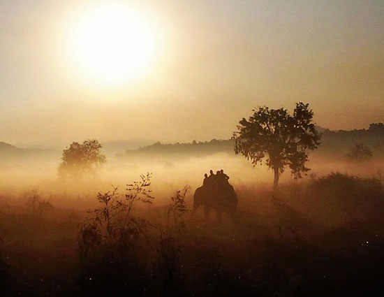 holidays,safari holidays,safari holidays in india,ranthambore national park rajasthan,jim corbett national park uttarakhand,kanha madhya pradesh,bandhavgarh madhya pradesh,nagarhole karnataka,sunderbans west bengal,pench madhya pradesh,gir national park gujarat