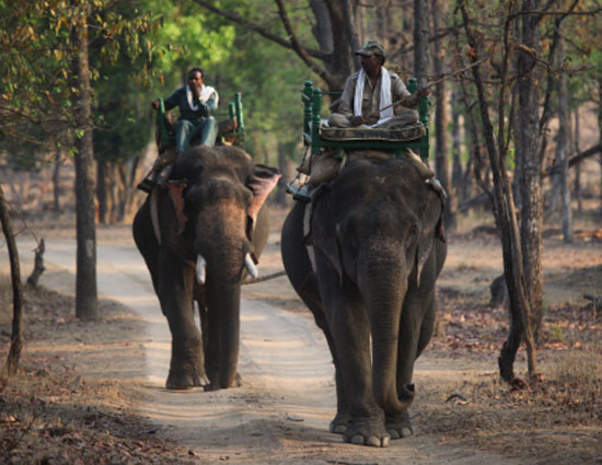 holidays,safari holidays,safari holidays in india,ranthambore national park rajasthan,jim corbett national park uttarakhand,kanha madhya pradesh,bandhavgarh madhya pradesh,nagarhole karnataka,sunderbans west bengal,pench madhya pradesh,gir national park gujarat