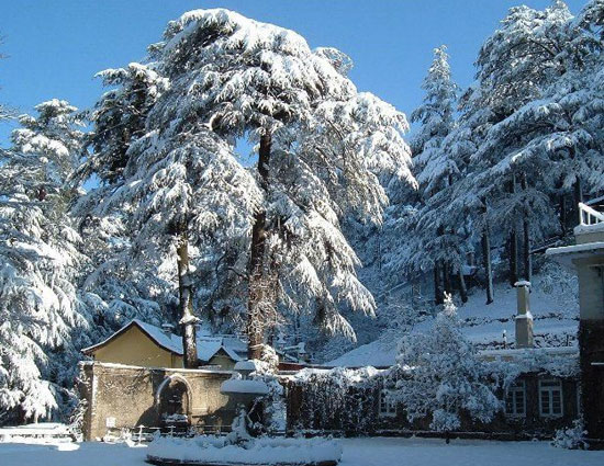 holidays,snowfall experience in india,pahalgam & gulmarg,munsiyari uttarakhand,dalhousie himachal pradesh,katao sikkim,lambasingi andhra pradesh