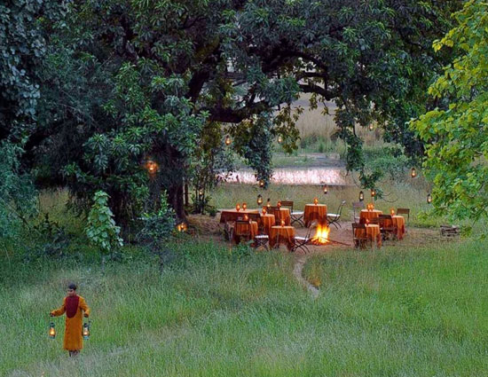 5 Must Visit Wildlife Resorts in India