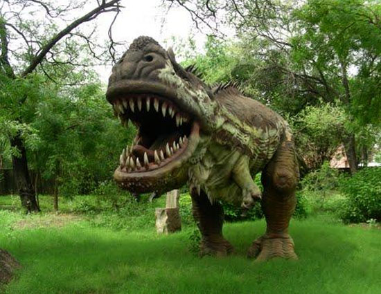 holidays,stunning cities in india,jodhpur rajasthan,jaipur rajasthan,udaipur rajasthan,nagpur maharashtra,jaisalmer rajasthan,amritsar punjab,gandhinagar gujarat,chandigarh punjab,cuttack odisha,kolkata west bengal