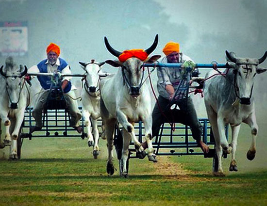 holidays,holiday destinations,jaisalmer rajasthan,kolkata west bengal,destination,kutch gujarat,ludhiana punjab,mumbai maharashtra,valentines week,valentines day