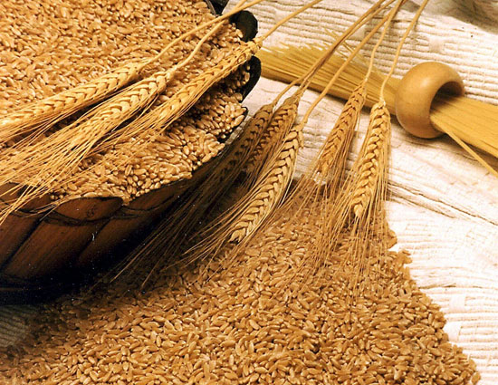 Health,Health tips,Almonds,foods to take care of eyes,carrot,leafy vegetables,fish,eggs,broccoli,wheat germ