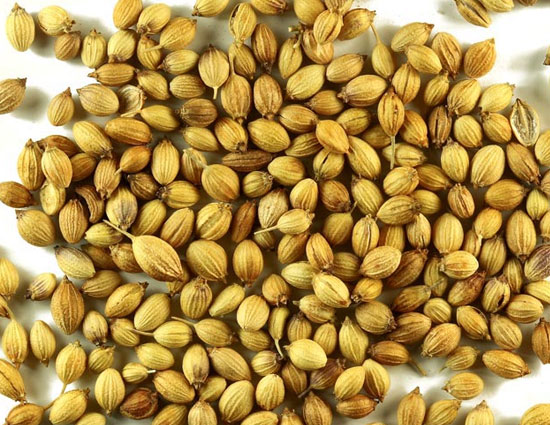 coriander,clove,5 spices that can replace medicines,spices,medicine,home made medicines,dhania,fenugreek,methi,turmeric,haldi,laung,cardamom,elaichi