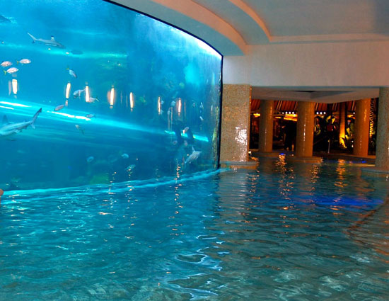 10 enticing pools that you wanna jump into,hanging gardens ubud hotel,neptune pool at the hearst castle in san simeon,california,the library pool in koh samui,thailand,cambrian pool,switzerland,bali,bali,infinity pool,singapore,st. regis in lhasa,tibet,chongwe river house pool,africa,belmond jimbaran puri resort,the san alfonso del mar seawater pool,chile,golden nugget pool in las vegas,nevada