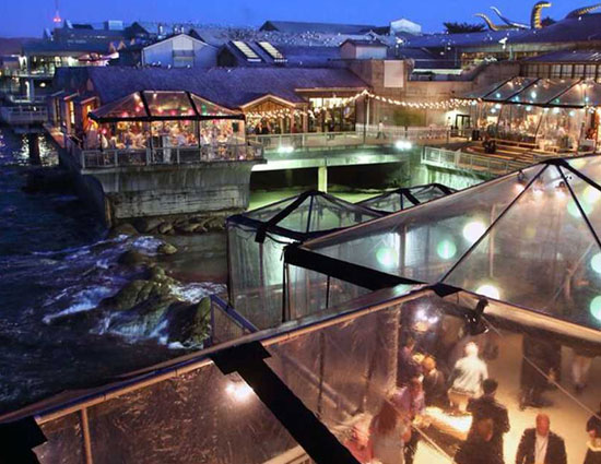 holidays,aquariums worth a night out with sharks,vancouver aquarium vancouver,maui ocean center wailuku,two oceans aquarium cape town,newport aquarium newport,monterey bay aquarium monterey bay