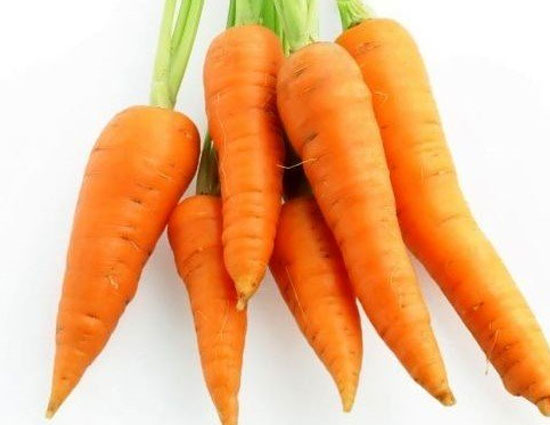 beauty tips,Health tips,carrot,3 benefits of carrot seed essential oil,essential oil,slows ageing process,increased urination,cures infection