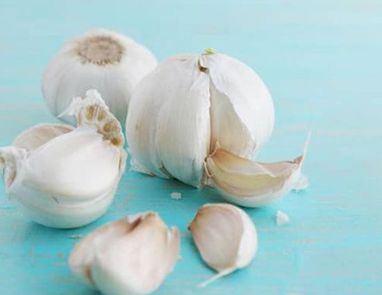 health benefits,5 amazing health benefits of garlic,garlic,garlic as medicine,weight gainer,immune system,vitamin c,treating cardiovascular disease,fungal and vaginal infection