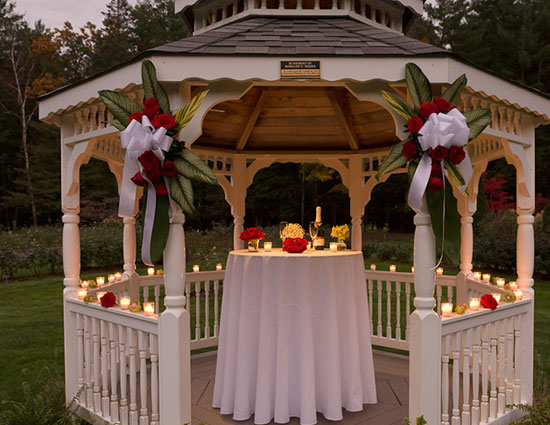 valentine day,valentine week,innovative ways to propose your loved one,propose day,proposing your love one,unique ways to propose,banner proposal,radio proposal,the treasure hunt proposal,hot air balloon proposal,the picture perfect proposal