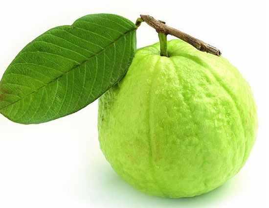 health benefits,fruits,5 health benefits of eating guava,guava,healthy fruit