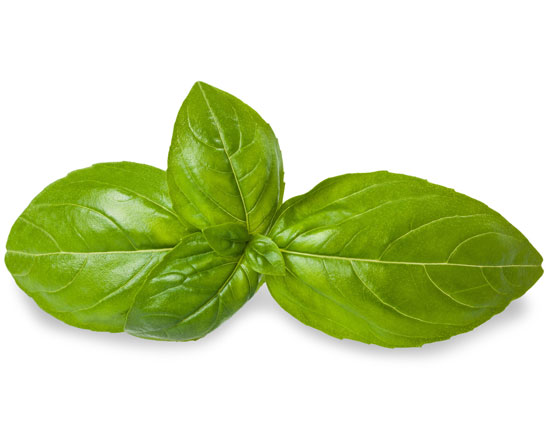 5 home remedies to treat back ache,treating back ache naturally,use of ginger,use of basil leaves,use of poppy seeds,home remedies for back ache