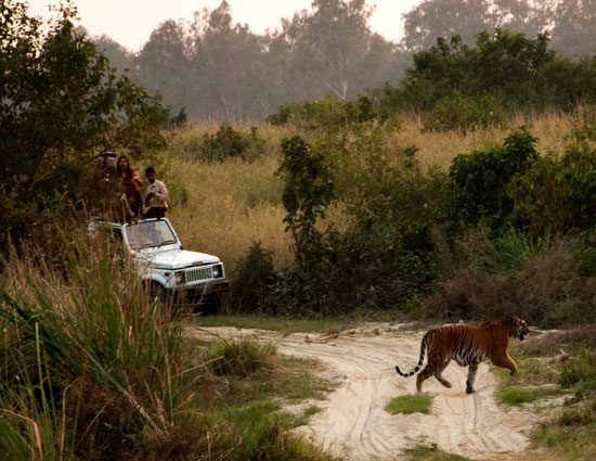 india,few days in chhattisgarh,places to be visited in chhattisgarh,places to be visited in india,chhattisgarh tourism,tourist places of chhattisgarh,tourist places of india,chitrakot waterfall,kawardha palace,achanakumar wildlife sanctuary,maitri bagh,bastar palace