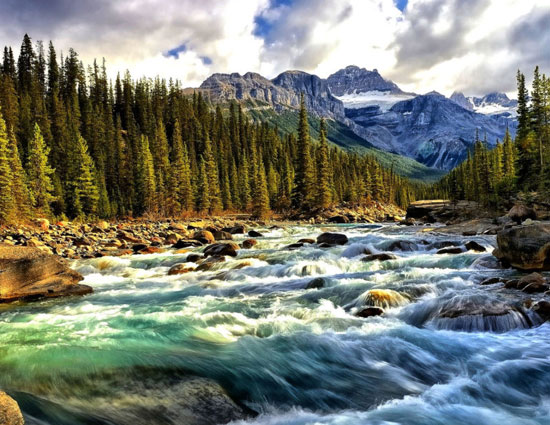 switzerland,new zealand,5 most visited national park in the world,national parks,animals,kakadu national park,australia,fiordland national park,swiss national park,banff national park,canada,yosemite national park,united states